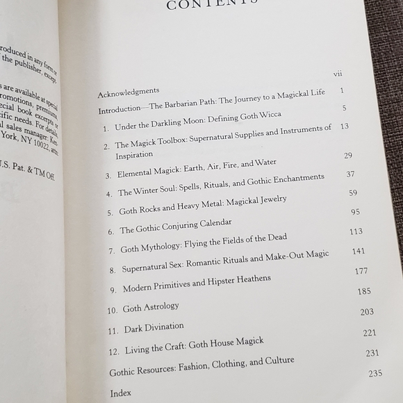 An Enchanted Grimoire Goth Magick Brenda - Picture 2 of 4